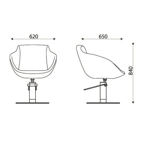 Karisma Bloomy Styling Chair - Image 2