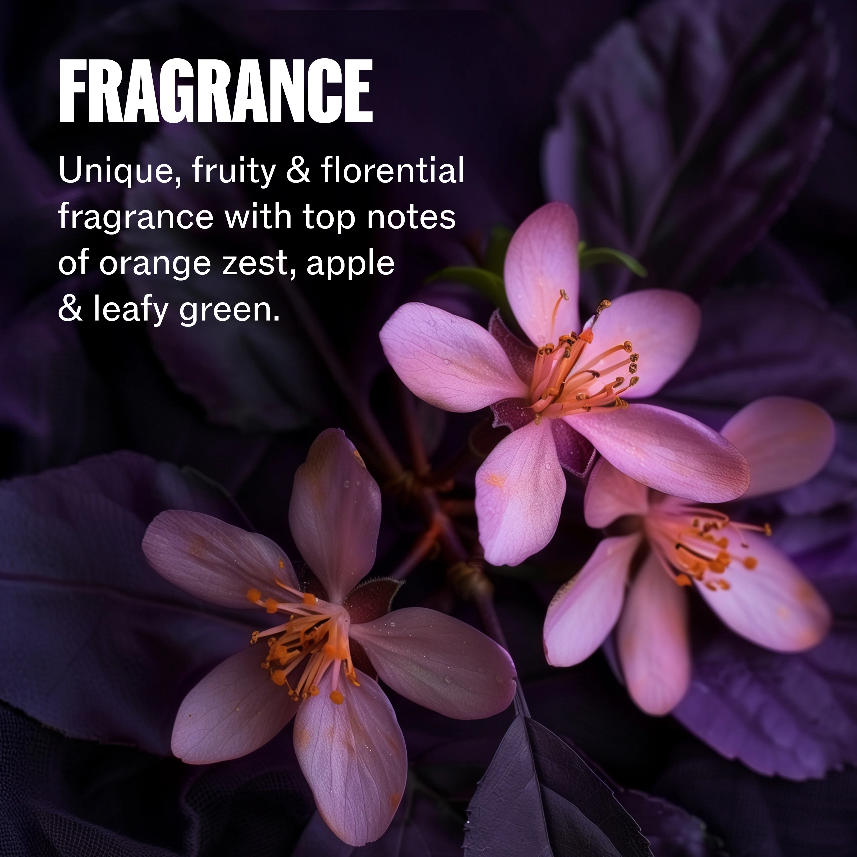 Wella Ultimate Color Conditioner 200ml - Image 4